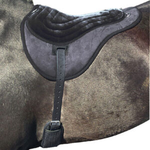 Comfort Plus Bareback Pads