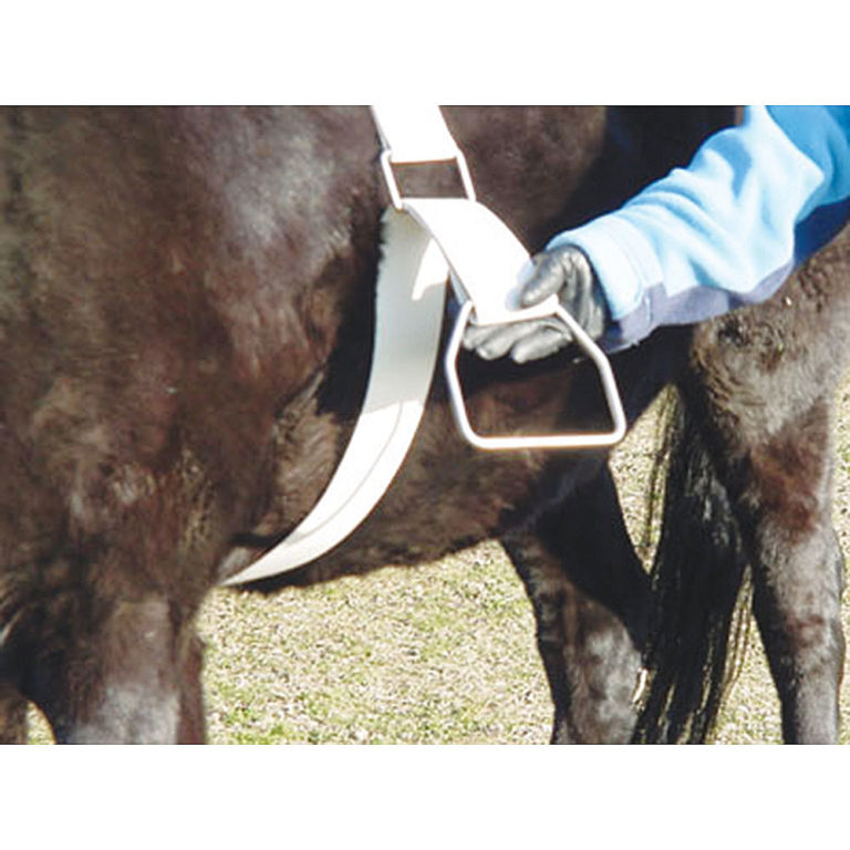 Mounting Aid for bareback riding with waist pack HorsePlay NZ