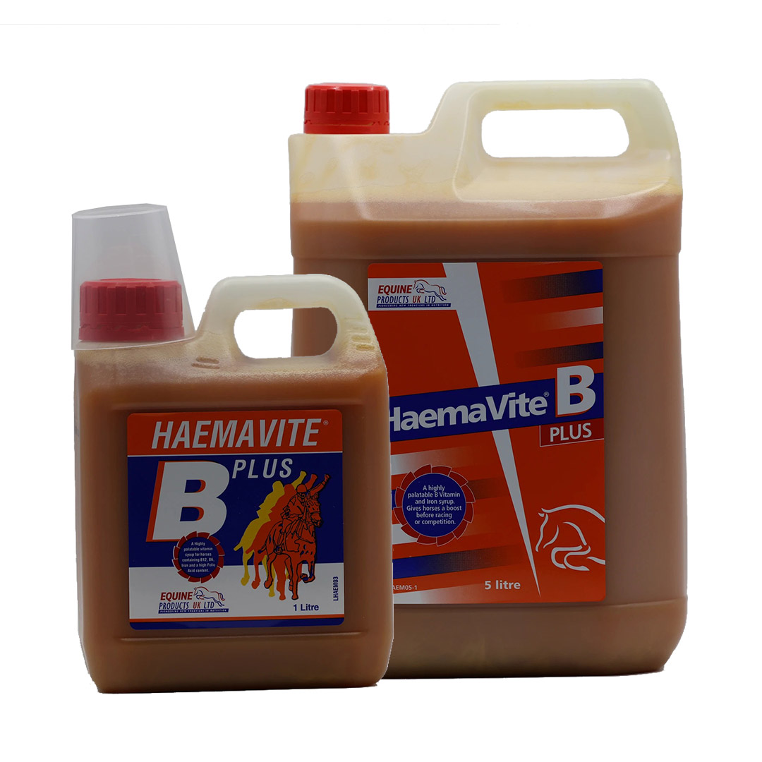 Haemavite B Plus - Liquid